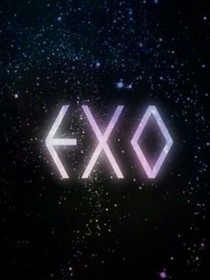 exo：满足爱丽的要求