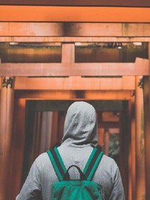 火烈鳥