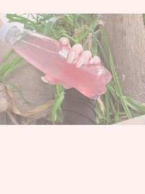 花落.