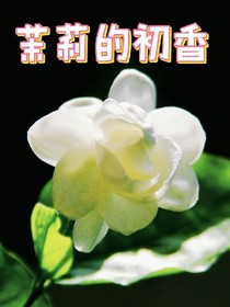 茉莉的初香