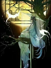 邪王獨(dú)寵：晶眼小獸妃