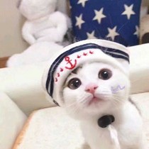吉他及她——你好，我的余生