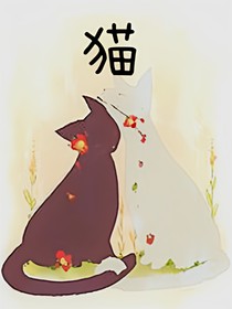 猫案