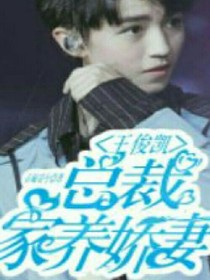 王俊凯:总裁家养娇妻