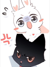 貓與免