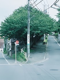 exo:曾经的爱情