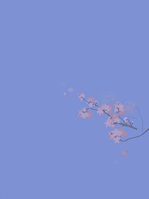 那年高三_d893