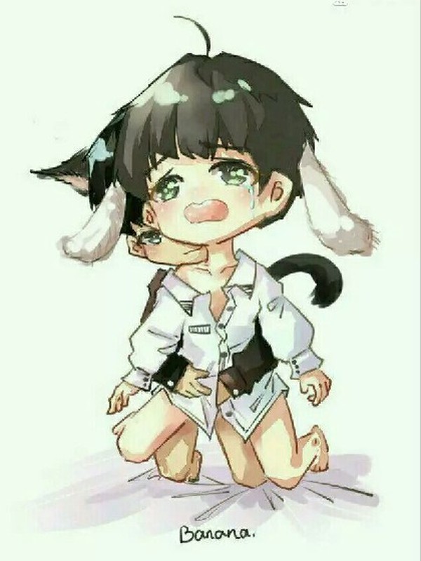 山楂树之恋.凯源