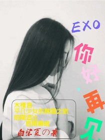 EXO：你好，再見！
