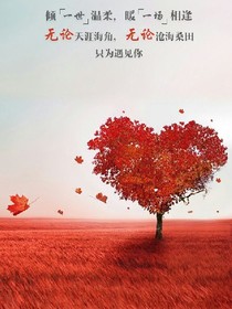 白雾中寻找真爱