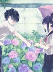 夏花之戀