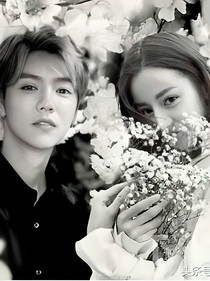 甜宠文小说评论榜-甜宠文小说