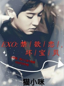 EXO：禁欲恋，坏宝贝