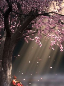 一路繁花，一地沉泥