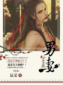 王爷的男妻