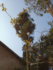 深深亥