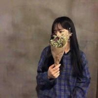 精灵族公主的回归