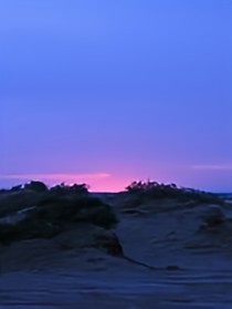 我為至尊