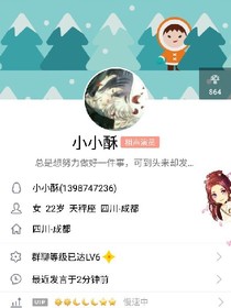 小小酥传