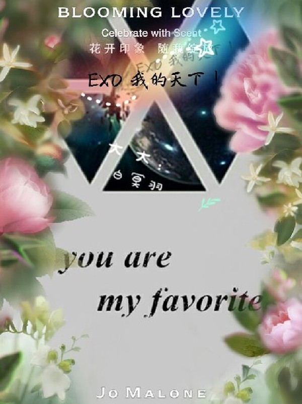 EXO之经纪人有事禀报!