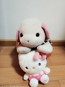 小七、kt的故事