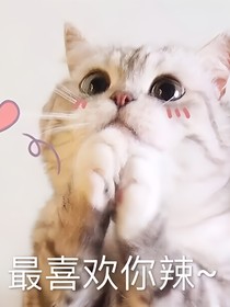 EXO畫地成牢