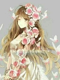 小花仙库库鲁的记忆
