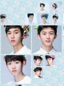 Tf家族之爱你永不改变