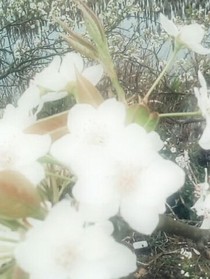 我和阎王是兄弟