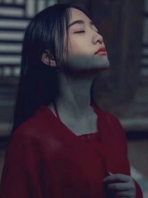 末世之世佳传.