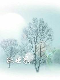 微小世界
