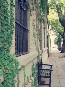 青春，你我不散