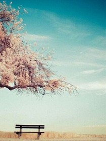 開(kāi)往青春的列車，是孤獨(dú)而漫長(zhǎng)的
