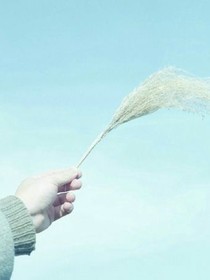 青春时期的少年们