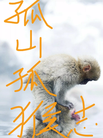 嗨！孤山孤猴志