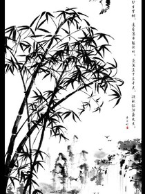 竹心吾心