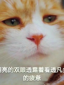 养子为患