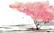 夏水之恋
