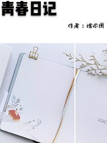 青春的日记