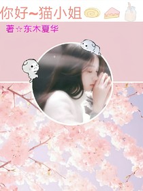 你好~貓小姐_d822