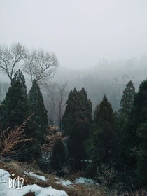 烟火人间