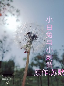 小白兔與小刺猬