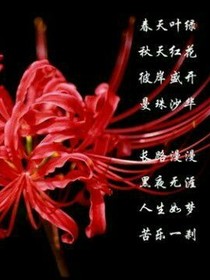 彼起彼落：綻放彼岸