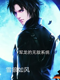 龙军的无敌系统