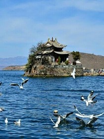 青春手記，我看著你的時(shí)候