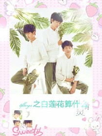 tfboys之白蓮花算什么