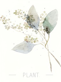 陌，許你還記我