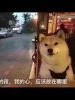 点击进入