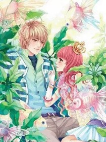 校草大人，接招吧！！