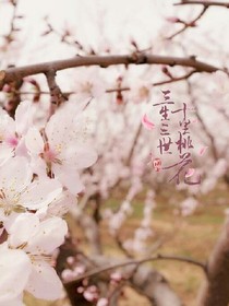 三生三世十里桃花tfboys